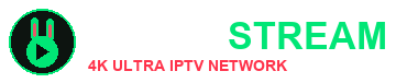 Bunny Stream Official Logo
